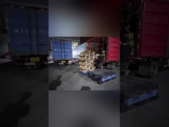 Εξαγωγική φόρτωση